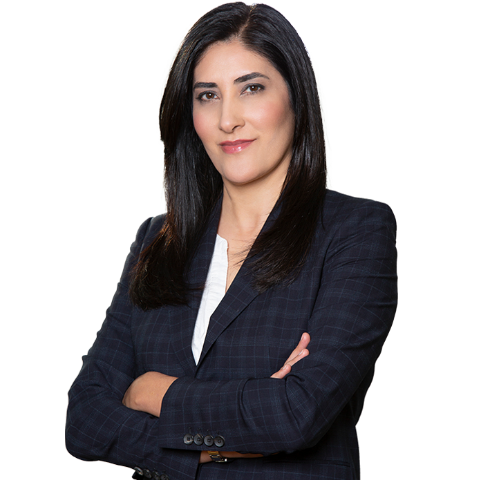 Ninaz Saffari Criminal Defense Attorney